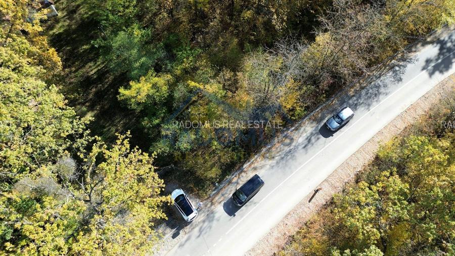 TEREN INTRAVILAN ÎN PĂDURE LA VĂRBILA - PRAHOVA – COMISION 0% - 4