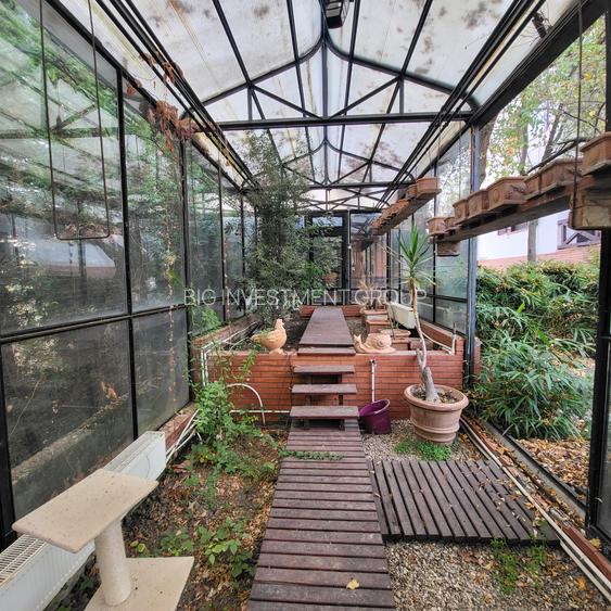 Vila lac snagov in cea mai buna portiune a lacului, ponton, garaj barca, piscina - 40