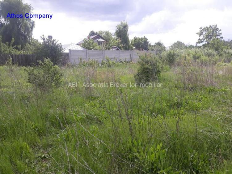 Teren Tartasesti - 2