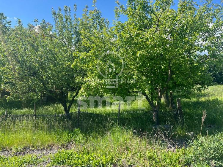 Teren de vanzare cu autorizatie de constructie   Borhanci  Cluj-Napoca - 4