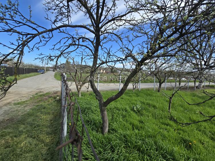 TEREN INTRAVILAN -1300 mp CURTISOARA - 7