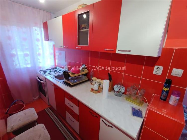Oravita, 2 Cam, Parter, Conf.1, Mobilat+Utilat, Usor Negociabil - 10