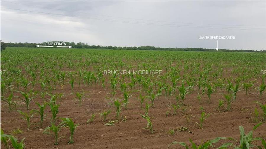TEREN CU POTENTIAL INDUSTRIAL | 4,35 HA | ARAD, ZADARENI - 7