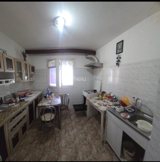 Teiul Doamnei Colentina - 3