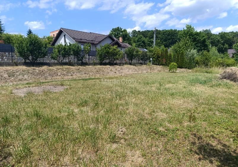 Proprietar: Teren de vânzare cu Panorama si utilități complete - 2