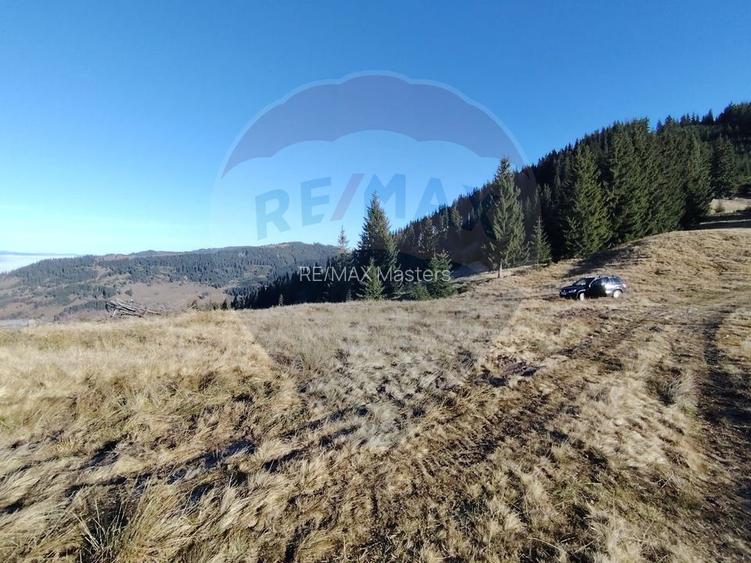 Teren 31,461mp Panaci / Prelungirea Ialovita - 7