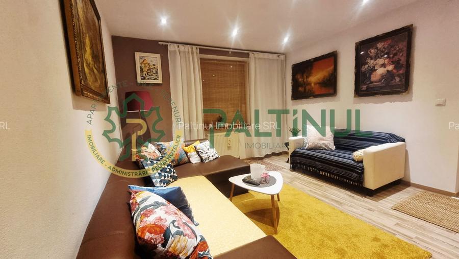 Apartament 2 camere cu balcon, renovat complet, Terezian - 2