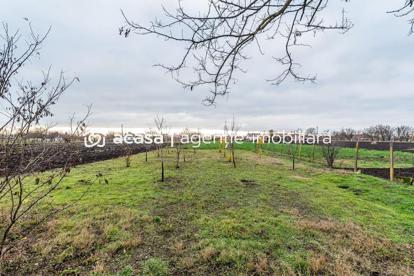 Casă + livadă tânără + curte 2.500 mp în Dorobanți - 2