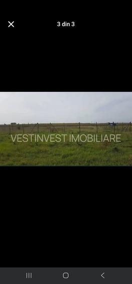 Teren Intravilan Paleu 1025 mp - 3