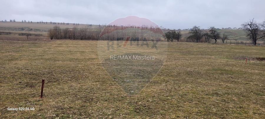 Teren 2925 mp comuna Mitocu Dragomirnei - 20