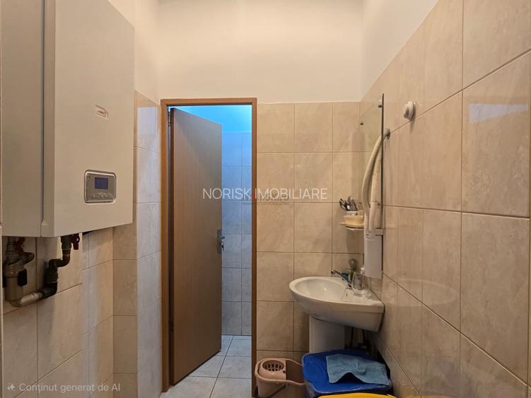 Spatiu cu vitrina generoasa, stradal cu dublu acces - Salajan - 7