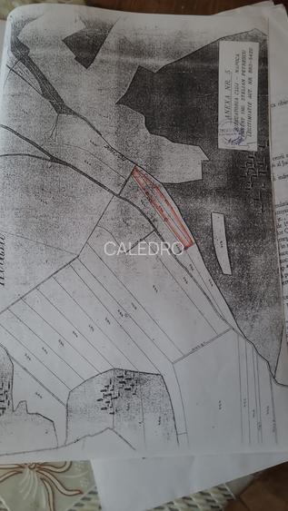 Teren 5800 mp extravilan in Suceagu ideal investitie - 5