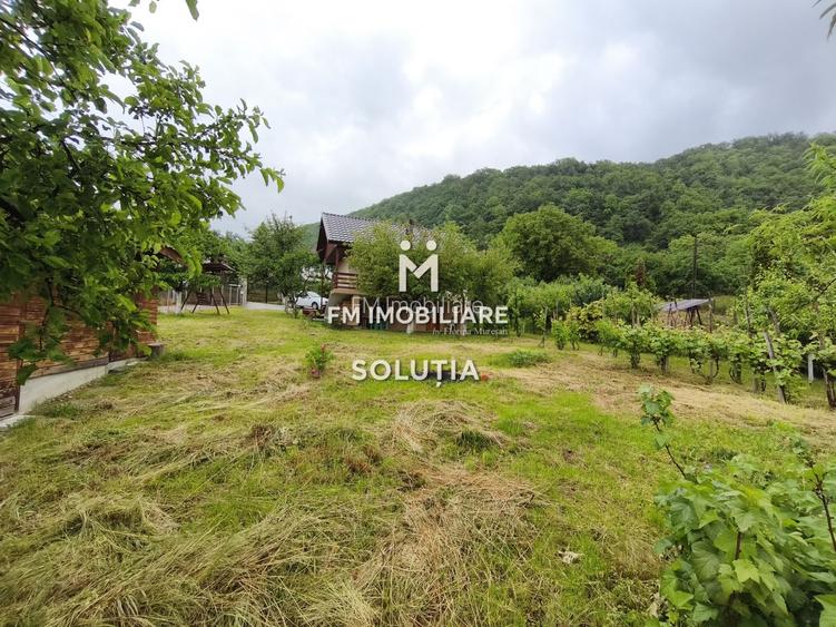 Casă P+1 de vânzare în Cicârlău – zonă superbă, 11 ari teren! - 16