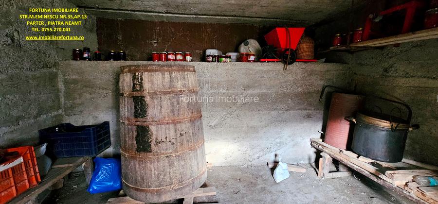 Casa+ Anexa+ Teren 6000 mp, la 10 minute de oras, com.Garcina - 7