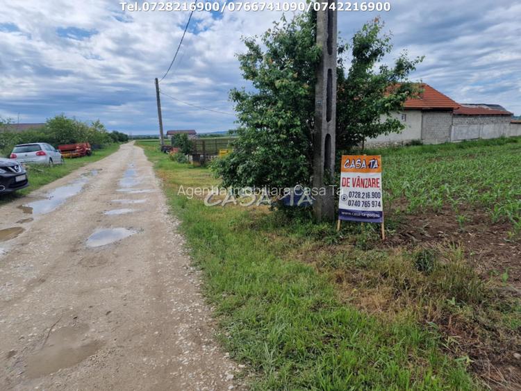 Teren Intravilan (7500 mp),situat in Balesti - Tamasesti - 5