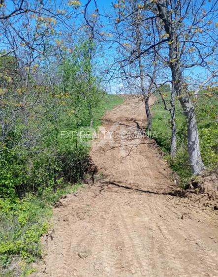 Vand Teren in Curtea de Arges suprafata 5000mp - 2