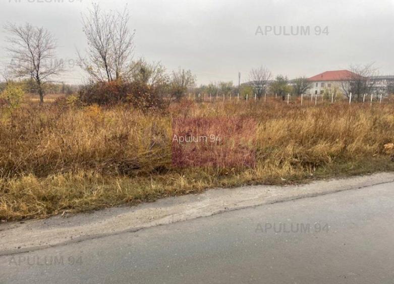 Teren Soseaua Alexandriei- Pasarela Bragadiru. - 3