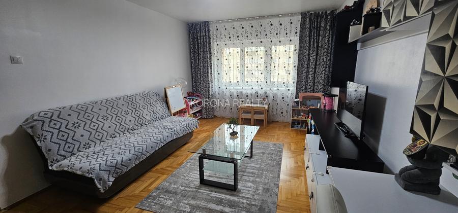 Apartament cu 2 camere de vanzare decomandat zona Faget - 3