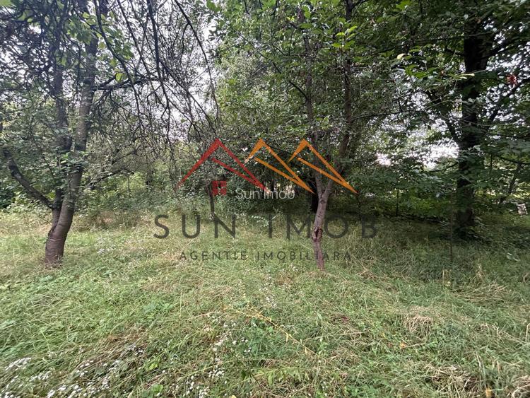 Teren intravilan, 1900 m2, zona Campinita, Campina, Prahova - 13