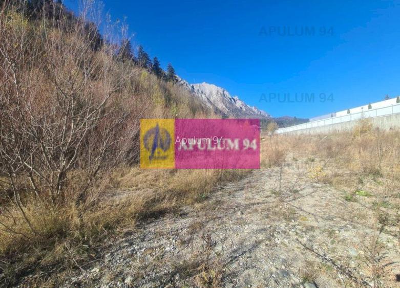 Teren intravilan de vânzare în Bușteni - Zona centrala - 6