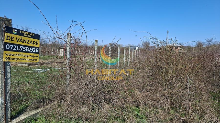 Magurele Campul Cu Maci 1200.MP Teren Constructii Vile - 2