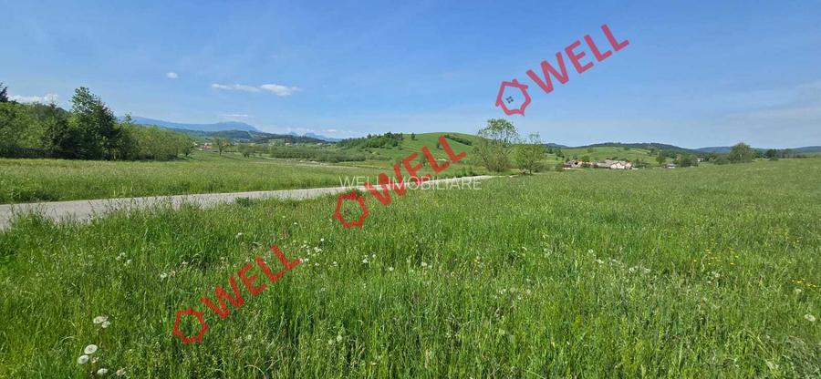 Teren de vânzare în Bărcani, pe strada Bisericii! - 4
