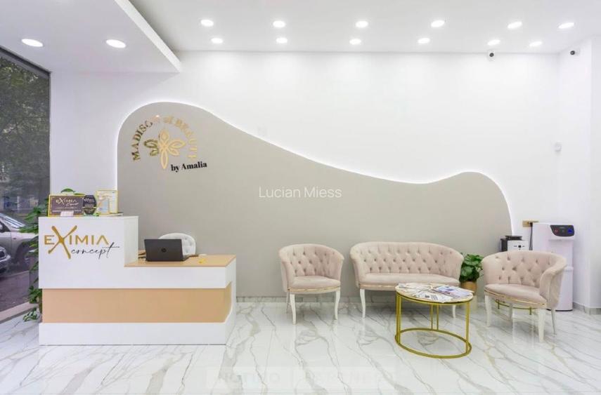 Spatiu comercial P-ta Victoriei, 117 mp utili, 10.26 ml fatada, nou renovat - 5