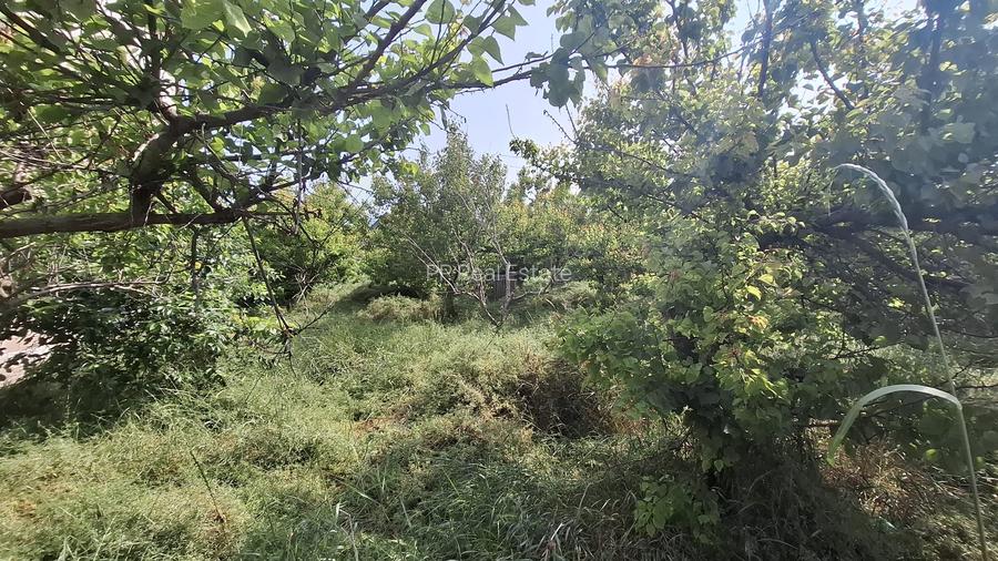 Kamsas - teren 1150 mp cu deschidere 30 ml - 3