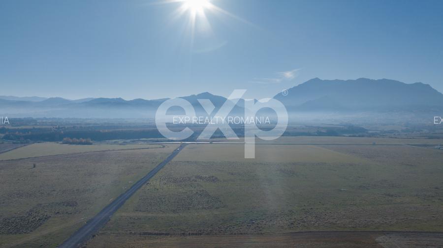Teren 11.600 mp – Râșnov, zona Tabăra, 230 m de DN 73 - 6