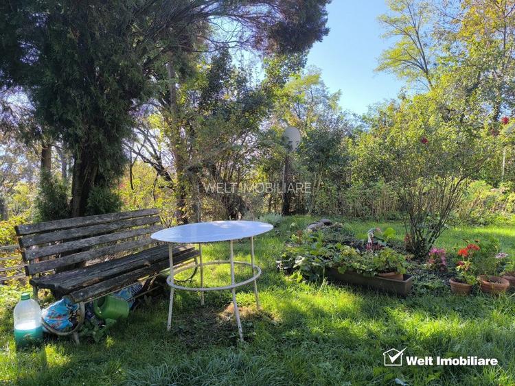 Casa veche, 3 camere, 978 m.p. teren, Grigorescu, locatie de vis  - 10