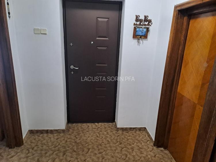 Industriilor Hala Laminor, singur curte, libera - 12