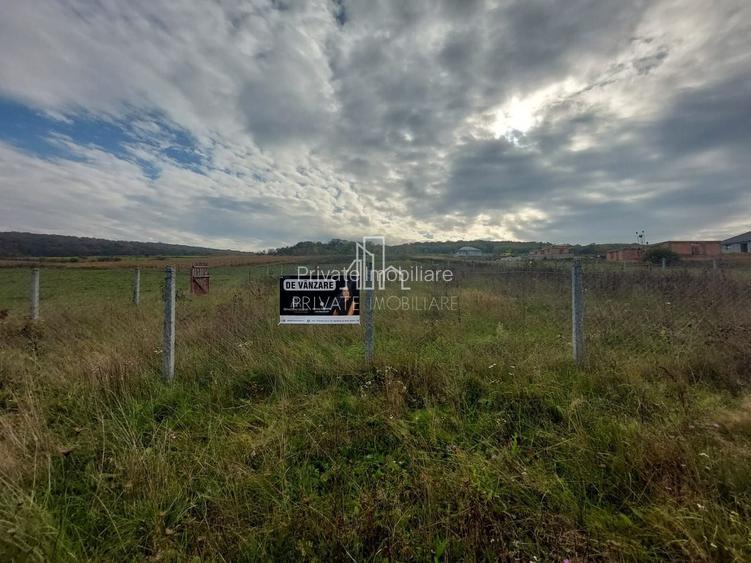 Teren De Vanzare, 950 Mp ,Intravilan, Livezeni - 3