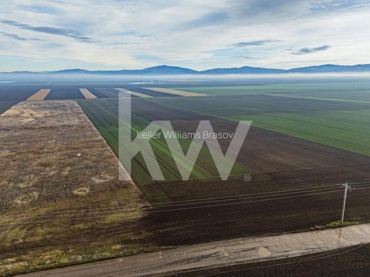 Teren exceptional pentru investitii industriale langa Brasov - 11