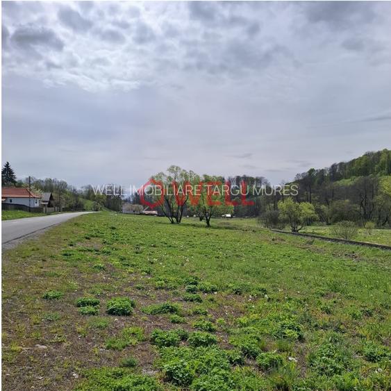 Teren de vânzare – Sovata, Săcadat - 3