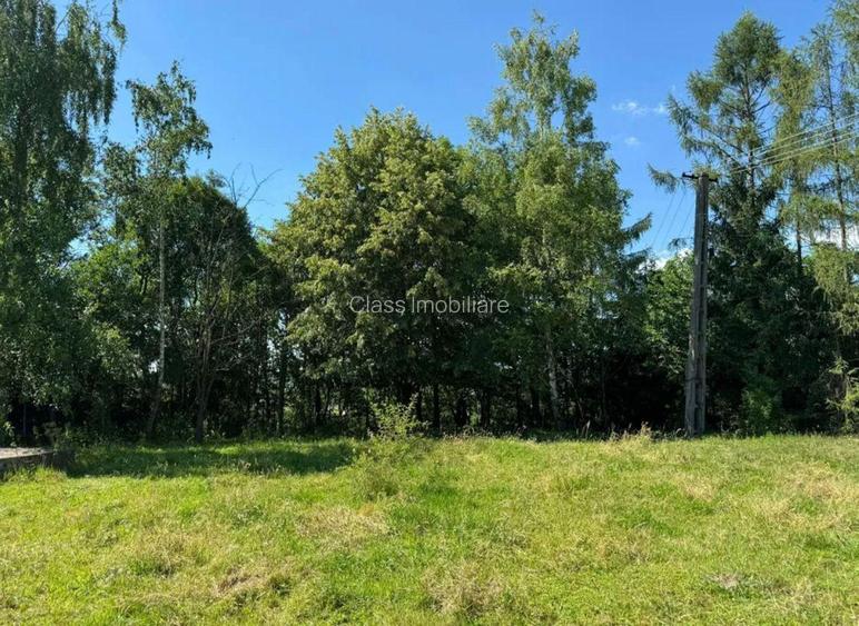 Teren intravilan de 5.755 mp în Doboeș, Sighetu Marmației - 5