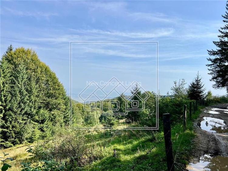 Teren de vanzare - 11200 mp - extravilan - zona turistica - 2