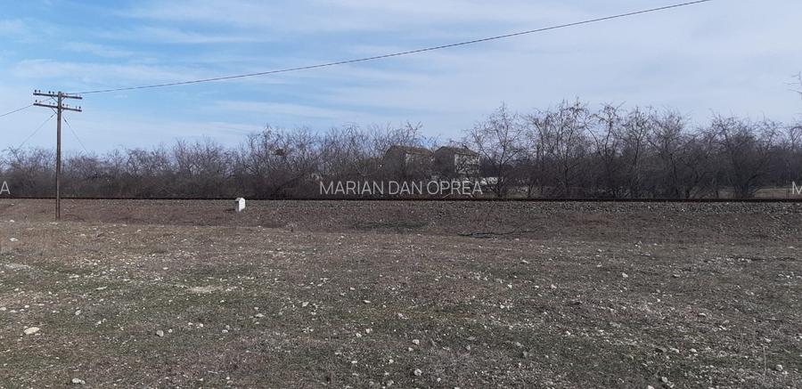 Vand Teren 25m Deschidere Directa la Lac, Intravilan-Construibil, 700mp(25x28m) - 8