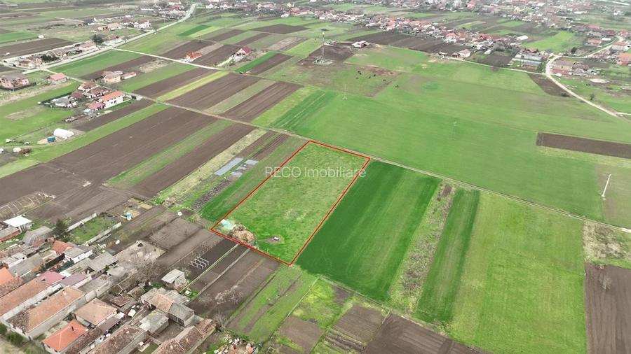 RECO Teren intravilan Girisu de Cris - 5