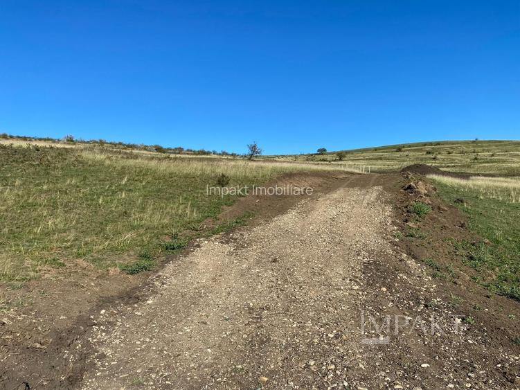Parcele de teren în Câmpenești – oportunitate de investiție! - 4