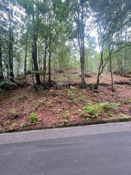 Teren intravilan, 2.6 ha, zona Complex Turistic Suior - 3