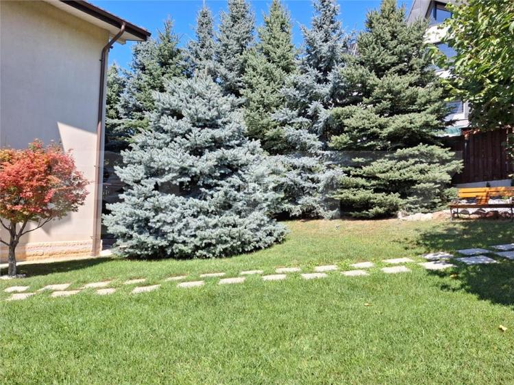 Proprietate eleganta cu teren mare si garaj in Bucium, perfecta pentru familie - 4