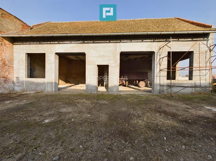 Teren și hale pe Calea Aradului din Periam - 2