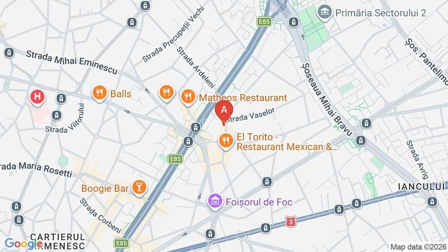 Proprietar – Vilă centrală, ideală pentru firmă, Foișorul de Foc - 14