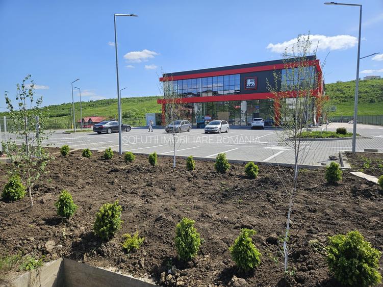 Spatiu de inchiriat - Visan - Iasi - 3