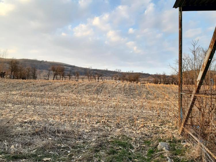 Investitie ideala in Coroi! Constructii cu 4.6 ha teren. - 13