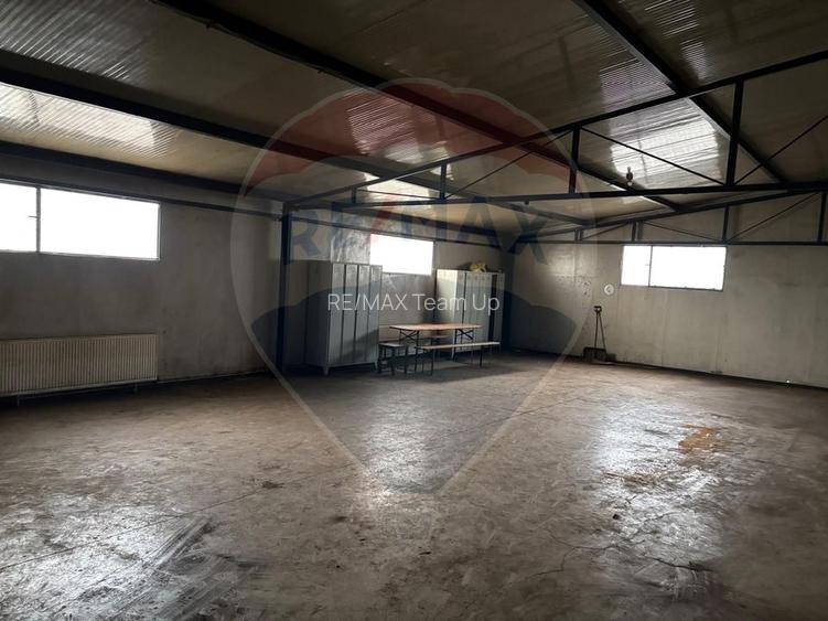 Spațiu industrial în Deva - Platformă betonată, 2 hale , linie CFR - 4