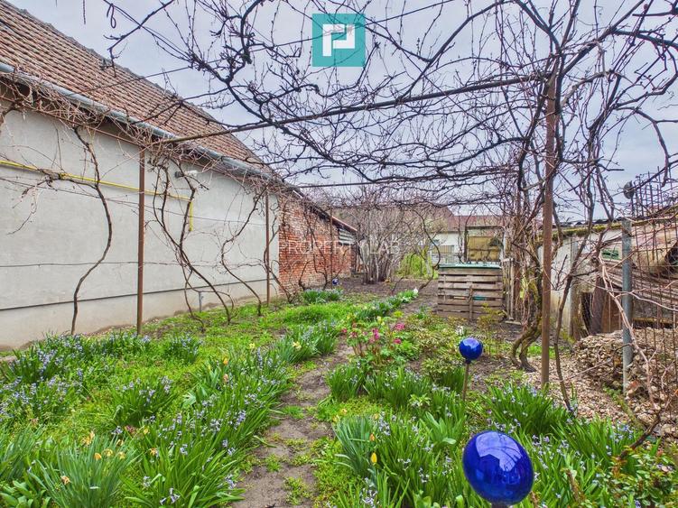 Casă 2 corpuri și 5 camere ultracentral în Curtici - 18