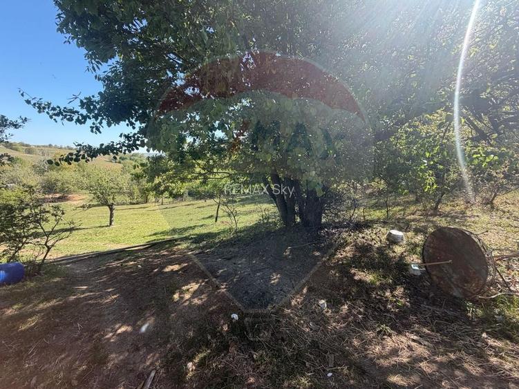 Teren extravilan 6.322 mp, împrejmuit, aproape de stadion Cugir, jud. - 2