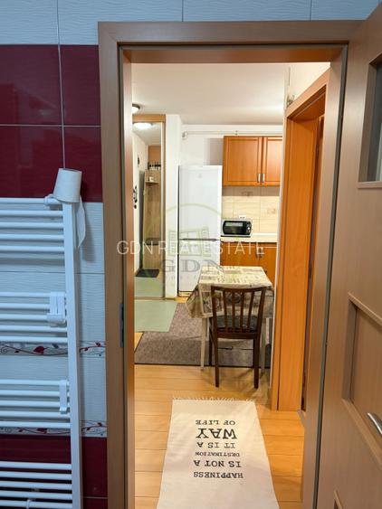 Apartament 2 camere de inchiriat-Zona Doamna Stanca - 9