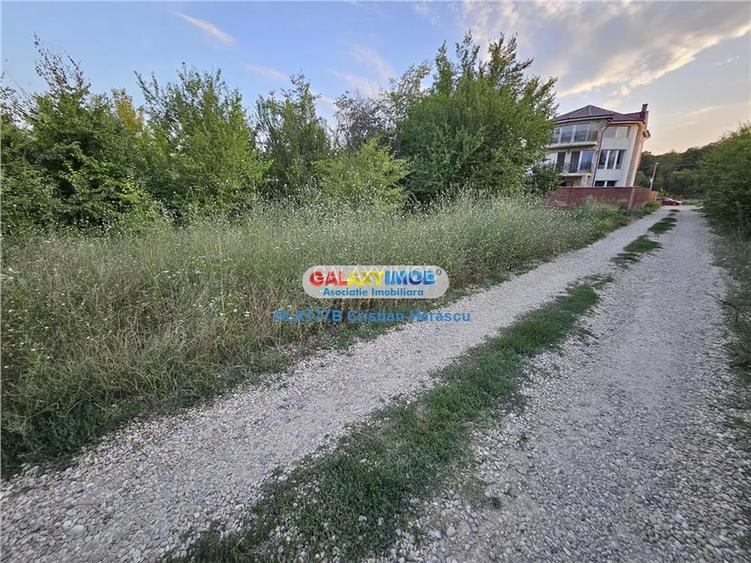 Buftea Flamanzeni 843 mp Str Independentei - 13